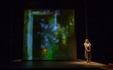 A wider shot of the stage. To the right is Joanne Froggatt who is wearing a mid length stripey skirt, white blouse and small heels. She's looking across the stage longingly with her hands together hanging in front of her. The stage has a partly transparent screen across it, on it is a projection of a green leafy print and on the other side you can just see a woman sat playing the cello.